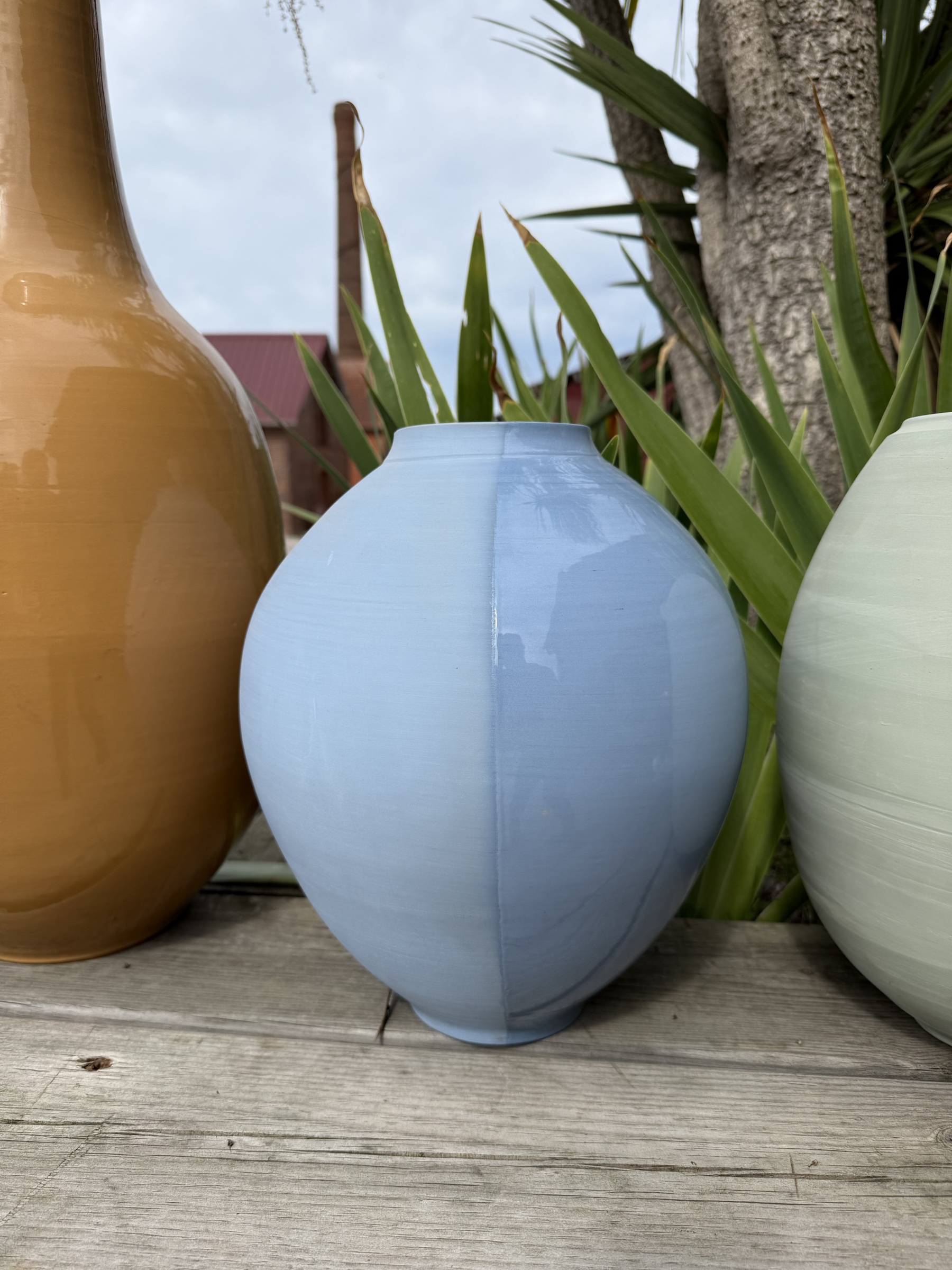 FA141 · Beck Bleue
