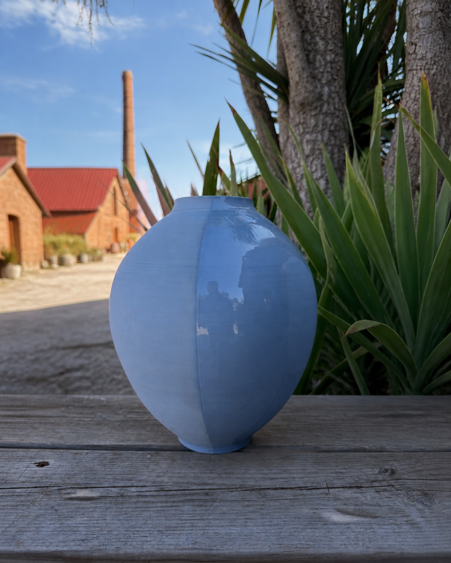 FA141 Beck Bleue isolée dans le décor naturel de Saon