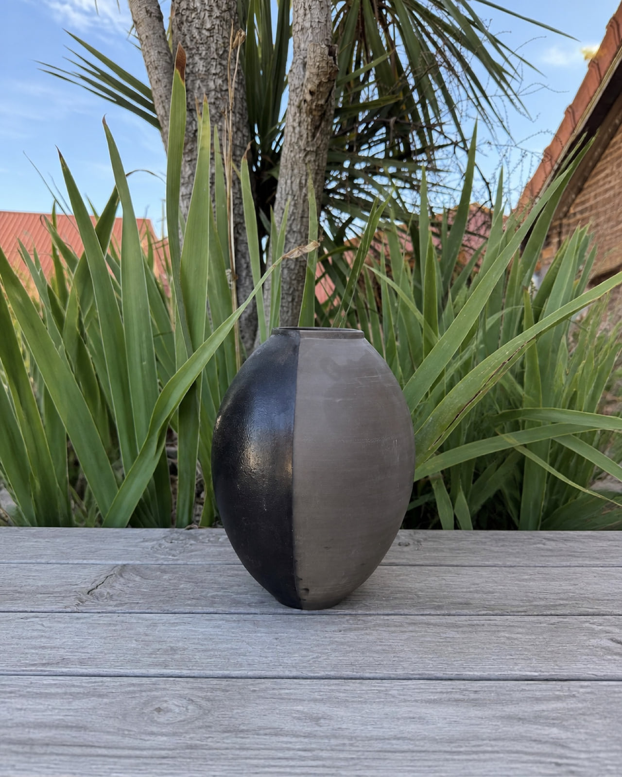 FA151 · Beck Schwarz