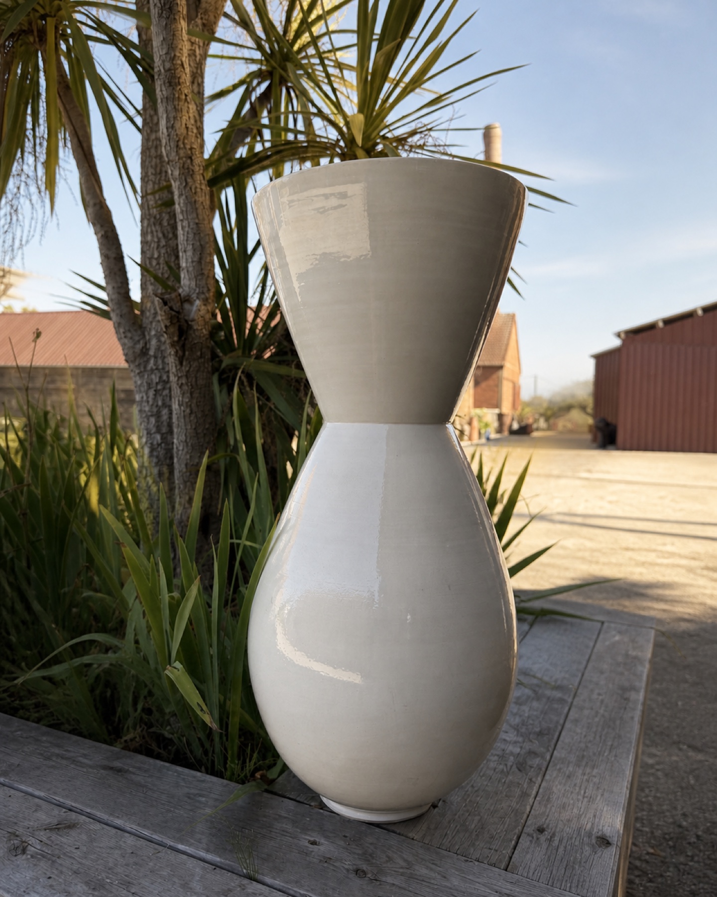 FA323 Beck Blanche isolée dans le décor naturel de Saon