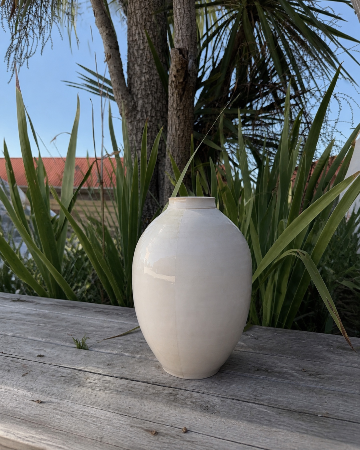 FA324 Beck Extra Blanche isolée dans le décor naturel de Saon